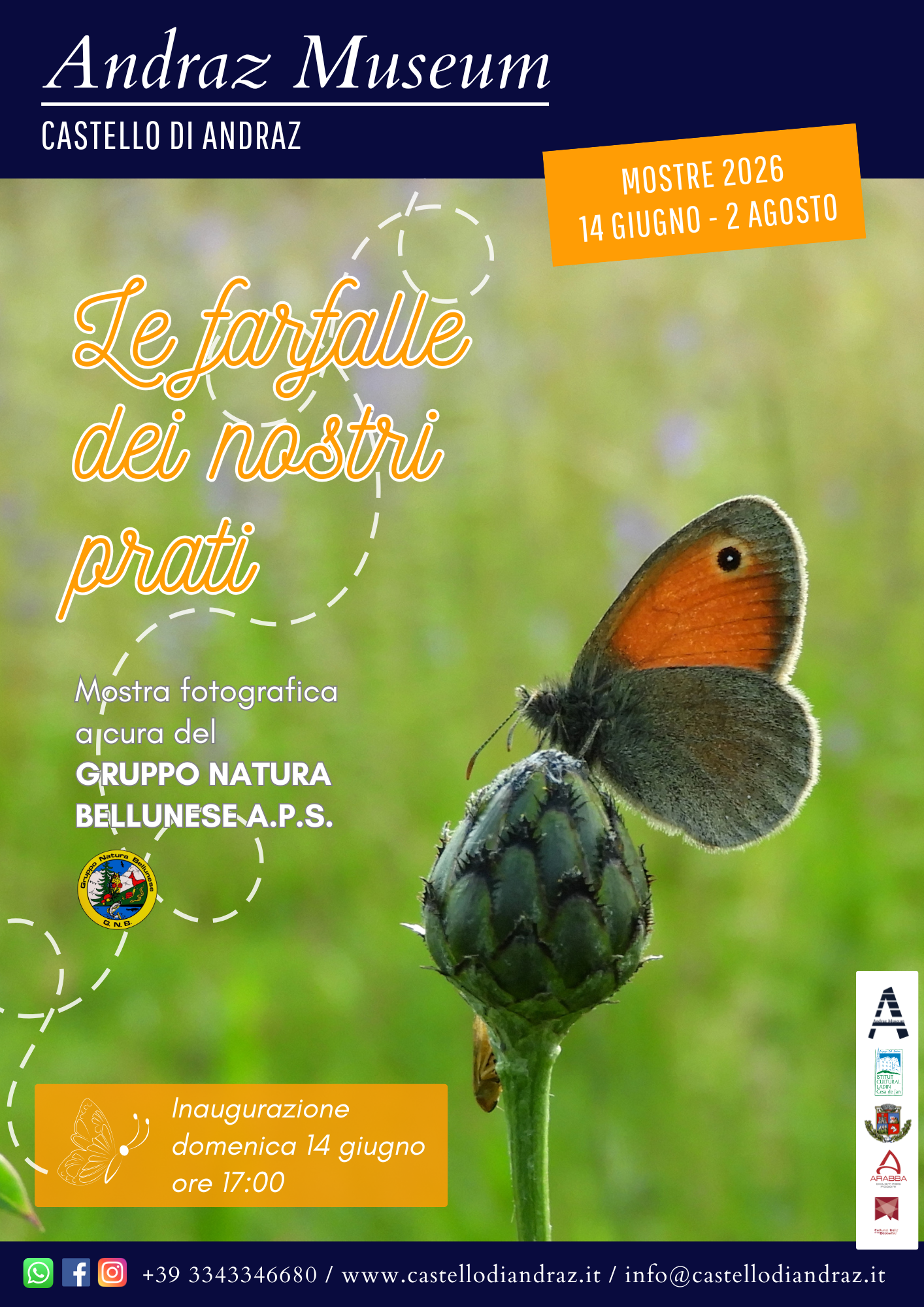 MOSTRA: le farfalle dei nostri...